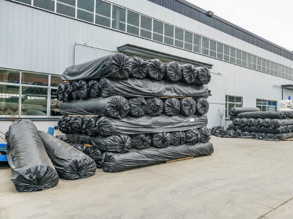 �S���O(sh��)��